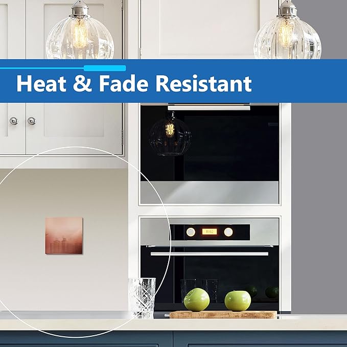 LIDER Double Blank Screwless Metal-Surface Wall Plate, Temperature and Impact Resistant, Stainless Steel, Modern Decoration Upgrade, Mid-Size 2-Gang 4.88??x 4.92?? Polished Rose Gold