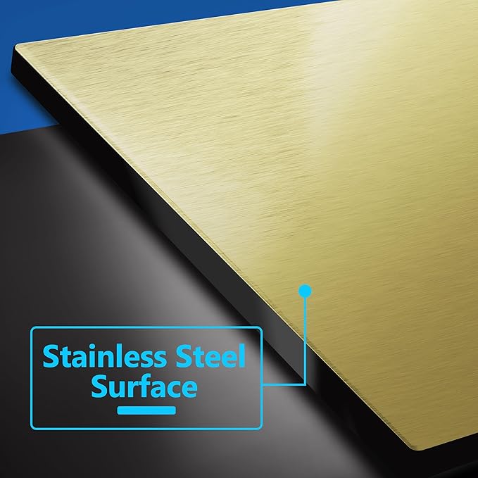LIDER Double Blank Screwless Metal-Surface Wall Plate, Temperature and Impact Resistant, Stainless Steel, Modern Decoration Upgrade, Mid-Size 2-Gang 4.88??x 4.92?? Brushed Brass
