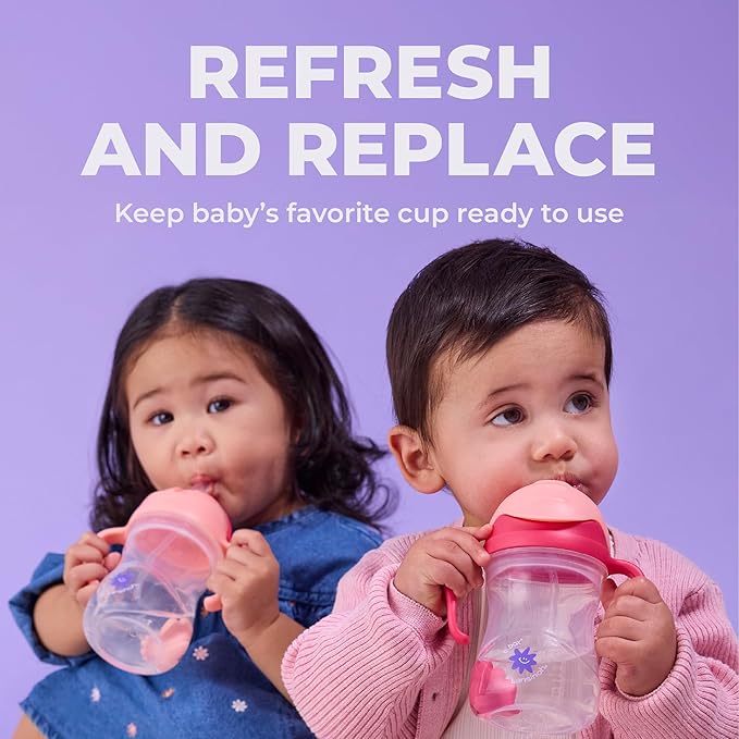 Lansinoh b.box Sippy Cup Replacement Straw Pack | Includes 1 Cleaning Brush, 1 Standard and 1 Weighted Straw, | Fits Sippy Cups