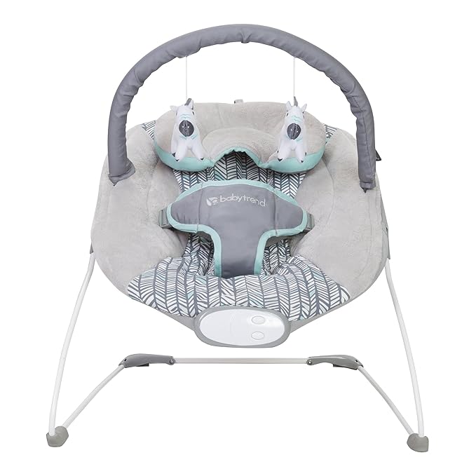 Smart Steps Trend EZ Bouncer, Ziggy