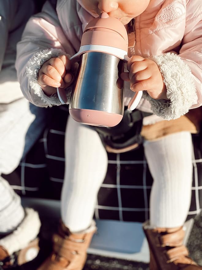 BEABA Stainless Steel Straw Sippy Cup, Insulated Toddler Cups Spill Proof with Removable Handles, Made with High Grade Stainless Steel, 8+ months, 8.5 oz, Rose