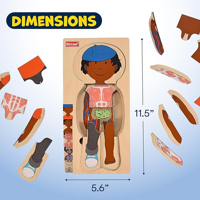 Kidzlane African American Boy Wooden My Body Puzzle for Toddlers - 29 Piece Girls Anatomy Puzzle Kid Play Set - Anatomy for Kids, Skeleton Toys for Kids Ages 3 Plus