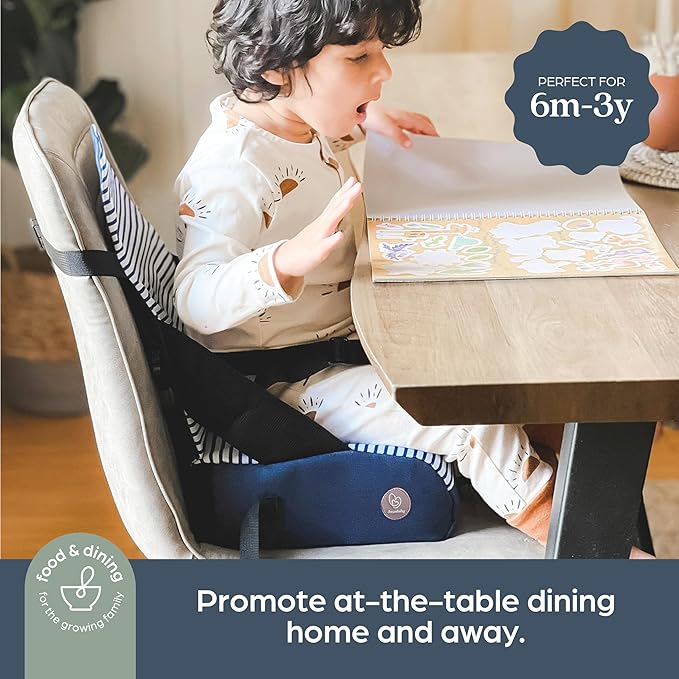 Dreambaby Grab ?˜N Go Travel Booster Seat ??Portable Toddler High Chair for Dining (6M-3Y) with Storage & Shoulder Strap
