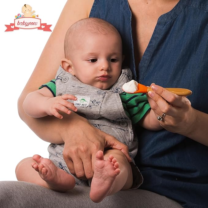 Babynow Bamboo Baby Spoons Self-Feeding Supplies for 6+ Months Babies & Toddlers in Bamboo & Soft Tip Designs BURGUNDY Pack of 2