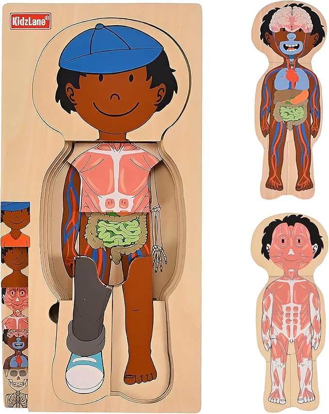 Kidzlane African American Boy Wooden My Body Puzzle for Toddlers - 29 Piece Girls Anatomy Puzzle Kid Play Set - Anatomy for Kids, Skeleton Toys for Kids Ages 3 Plus