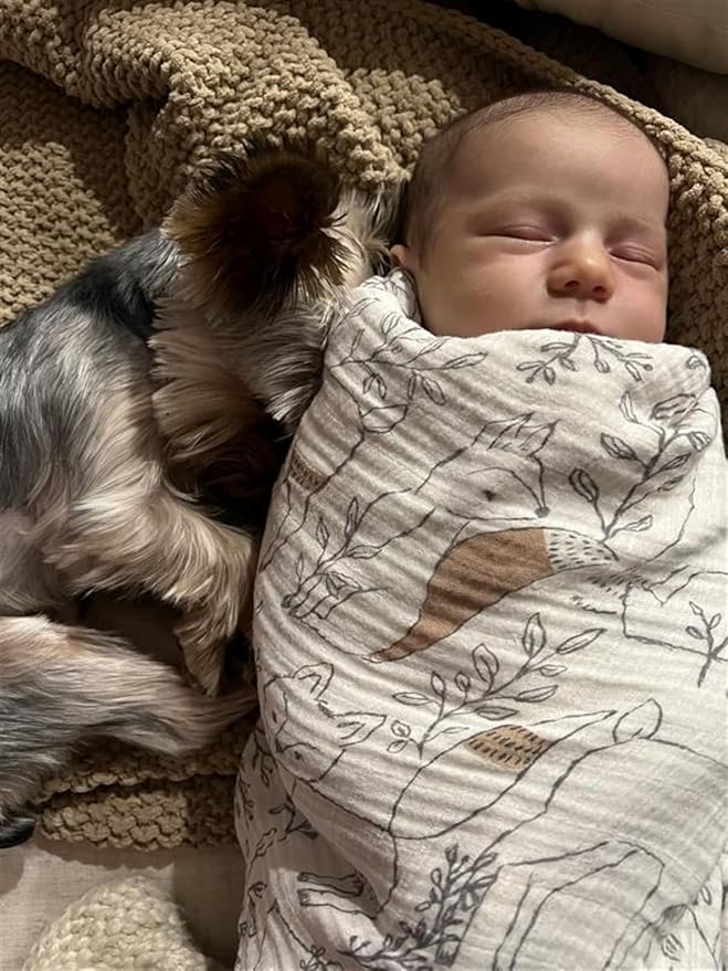 Crane Baby 100% Cotton Muslin Swaddle Blankets, Ezra Woodland Animal, Baby Swaddle Blanket, Set of 2, 47" x 47", Swaddles for Newborns, Baby Muslin Swaddle Blanket, Swaddle Blankets for Boys & Girls