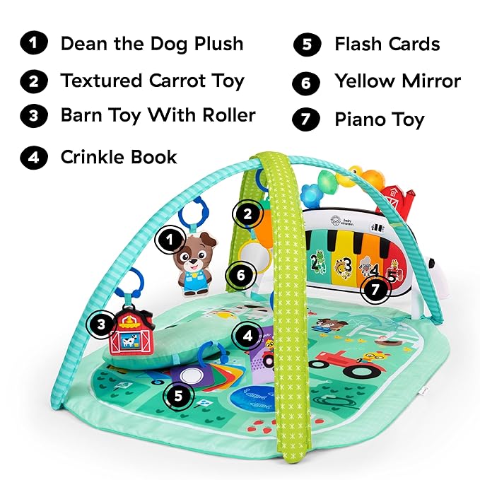 Baby Einstein Farm Explorers 4-in-1 Kickin??Tunes Musical Meadow Music & Language Discovery Gym, Ages 0 Months and Up