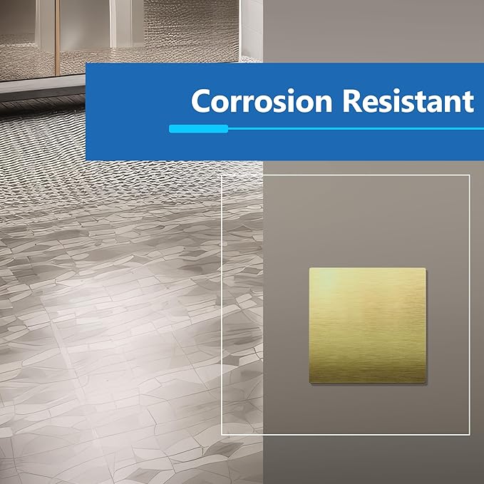 LIDER Double Blank Screwless Metal-Surface Wall Plate, Temperature and Impact Resistant, Stainless Steel, Modern Decoration Upgrade, Mid-Size 2-Gang 4.88??x 4.92?? Brushed Brass
