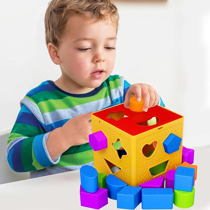 Shape Sorter Toddler Learning Toys - 19 Pcs Classic Kids Toys Blocks for Toddlers 1-3, Color Recognition, Sorting and Matching Activity Cube for Baby Games