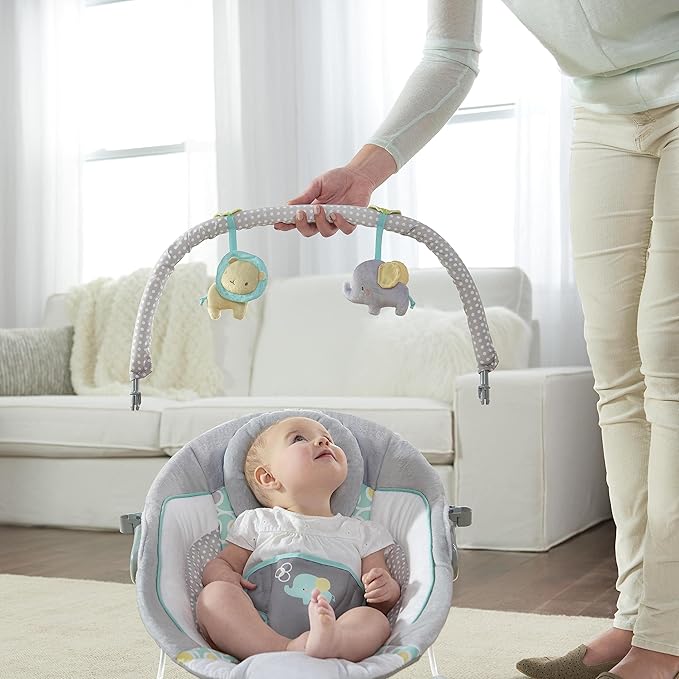 Ingenuity Soothing Baby Bouncer Infant Seat with Vibrations, -Toy Bar & Sounds, 0-6 Months Up to 20 lbs (Morrison)