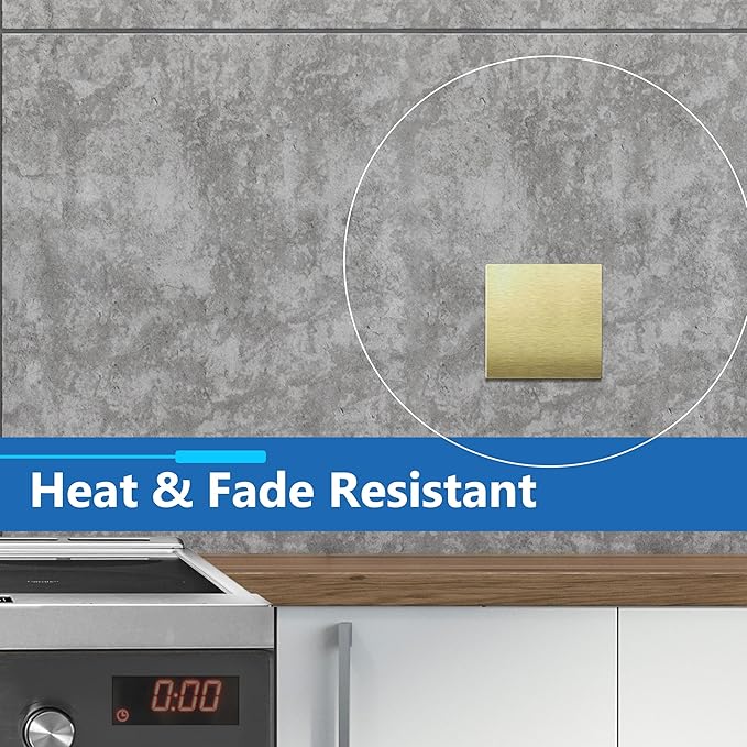 LIDER Double Blank Screwless Metal-Surface Wall Plate, Temperature and Impact Resistant, Stainless Steel, Modern Decoration Upgrade, Mid-Size 2-Gang 4.88??x 4.92?? Brushed Brass