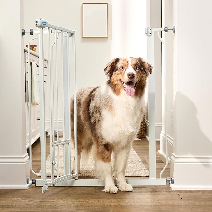 Carlson 36" Extra Tall Walk Through Dog Gate for Doorways & Bottom of Stairs, Metal Pet Gate with Small Pet Door, Expands 29.5?�â€?6.5?? White
