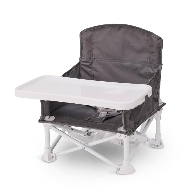 Regalo My Chair 2-in-1 Baby High Chair & Portable Travel Booster Seat, High Chair for Babies & Toddlers, Booster Seat for Kitchen Chair, Oversized Tray with Cup Holder, Gray