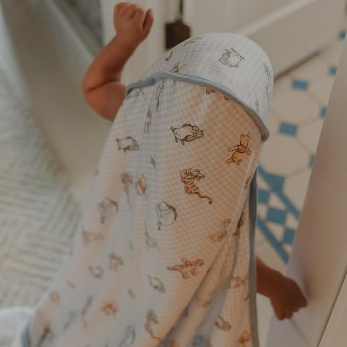 Copper Pearl Premium Knit Hooded Bath Towel Winnie The Pooh & Friends