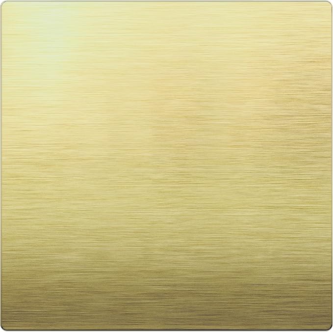 LIDER Double Blank Screwless Metal-Surface Wall Plate, Temperature and Impact Resistant, Stainless Steel, Modern Decoration Upgrade, Mid-Size 2-Gang 4.88??x 4.92?? Brushed Brass
