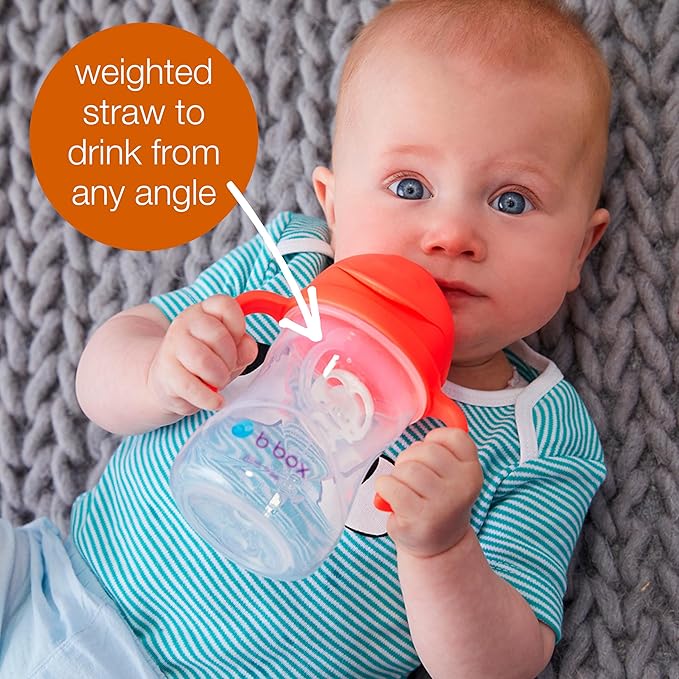 b.box Sippy Cup with Weighted Straw (2-Pack). Leak Proof, Easy Grip. BPA Free & Dishwasher Safe. Ideal for Babies 6m+ to Toddlers (raspberry + tutti fruitti, 8oz)