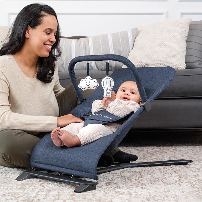 Baby Delight Alpine Deluxe Portable Bouncer, Infant, 0 – 6 Months, Quilted Indigo